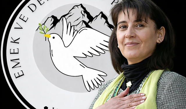 Hakkari Emek ve Demokrasi Platformu’ndan Zana açıklaması