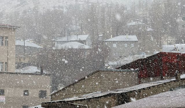 Van'ın Başkale ilçesinde kar etkili oldu