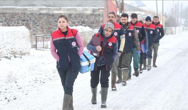 Kars’ta veterinerler, zorlu kışta hayvanları koruyor