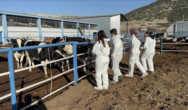 Uygulama çiftliği öğrencilere sahada eğitim sunuyor