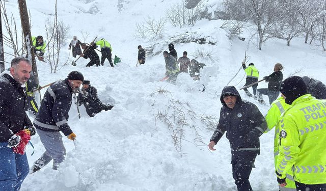 Van’da çığ felaketi: bir kadın kayıp