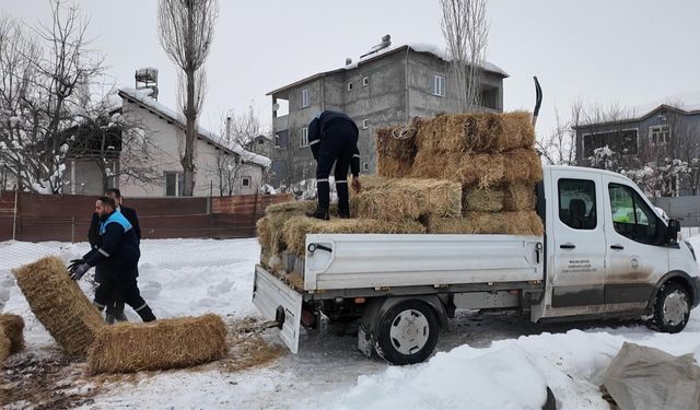 Sokak hayvanlarına sahip çıkan besiciye yem desteği
