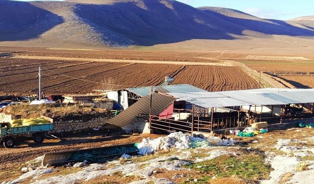 Fırtınada üzerine çatı düşen çiftçi öldü