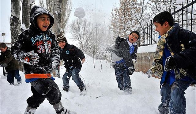 Kar nedeniyle Van’da 4 ilçede okullar tatil
