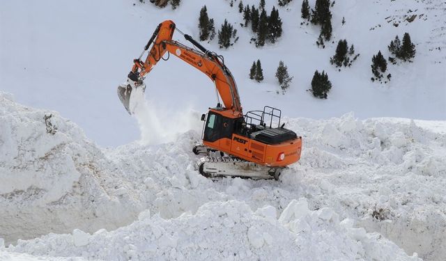 Van-Çatak yolunda ulaşım tek şeritten sağlanıyor