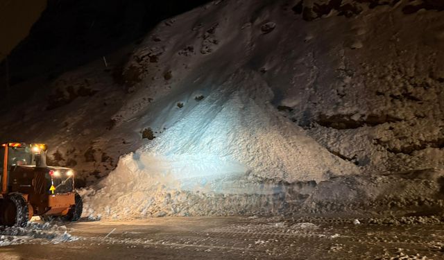 Van-Bitlis kara yolu çığ nedeniyle kapandı