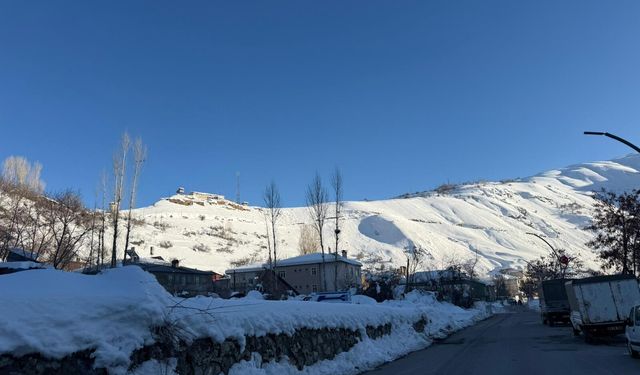 Çatak’ta çığ düşen alanlarda inceleme yapıldı