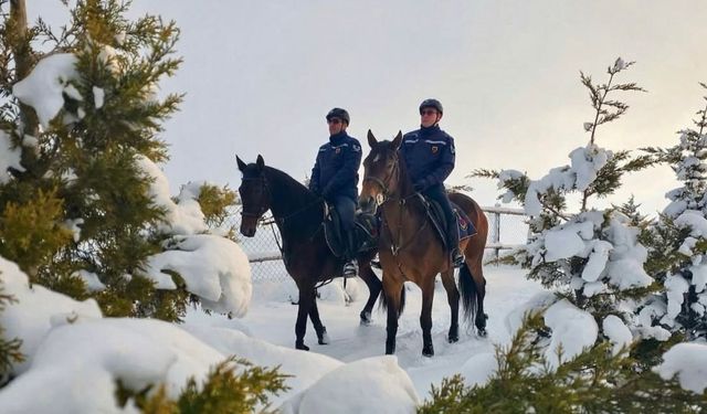 Kaçak avcılara atlı jandarma devriyesi