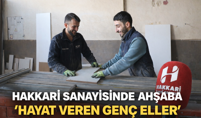 Hakkari sanayisinde ahşaba hayat veren genç eller