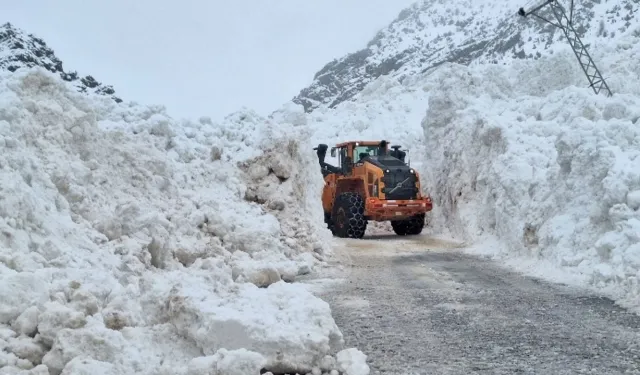Van-Çatak yolu çığ riski nedeniyle kapatıldı