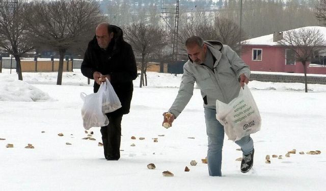 Ercişli fırıncı doğaya can dostları için yiyecek bıraktı