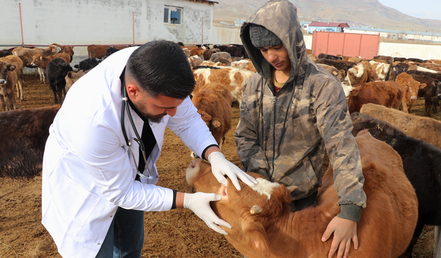 Genç veteriner baba mesleğini modernleştiriyor