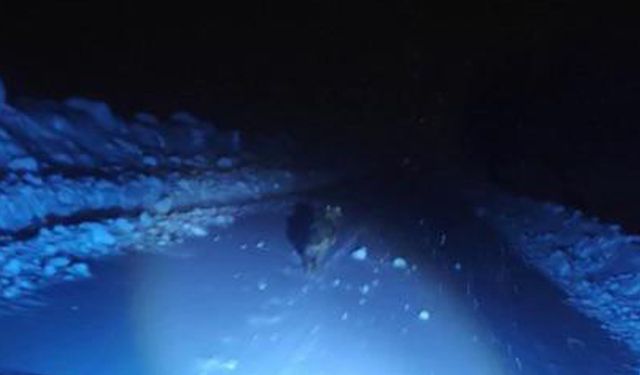 Kurdun saldırısından araca binerek kurtuldular