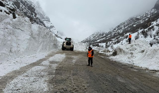 Hakkari–Çukurca yolu çığ temizliği ve genişletme çalışması