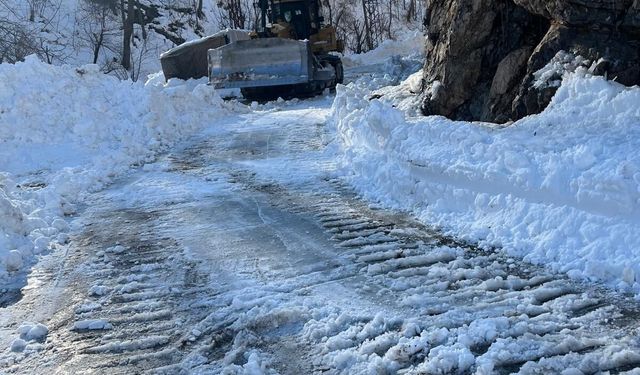 Kar ve çığla mücadele: Şırnak’ta yollar açıldı