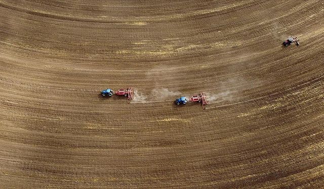 Tarım sayımının yüzde 90'ı tamamlandı