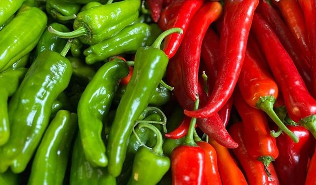 Batı Akdeniz'in ihracat şampiyonu biber oldu