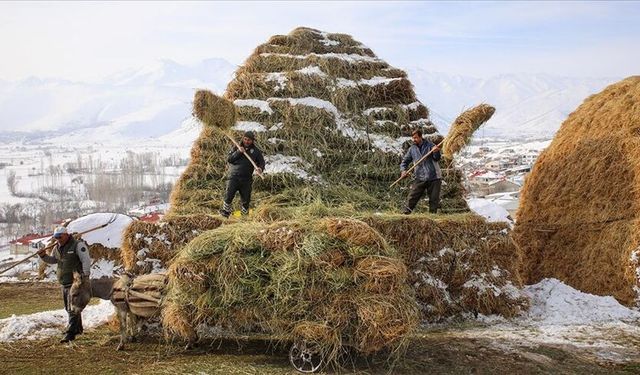 Kar ve soğuk kırsal yaşamı zorlaştırıyor