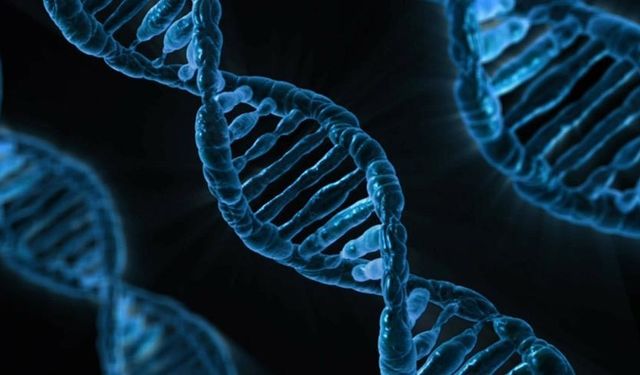 AlphaGenome ile DNA’nın bilinmeyenleri çözülecek