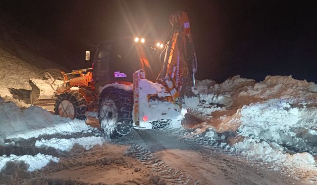 Hakkari-Van karayoluna çığ düştü