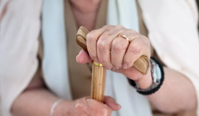 Yaşlılık sigortası geliyor: İşte detaylar