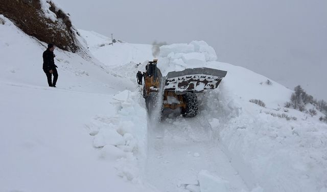 Hakkari'de çığ nedeniyle kapanan yol, 2 ay sonra açıldı