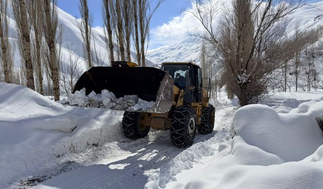 Van’da 106 yerleşim yeri ulaşıma kapandı