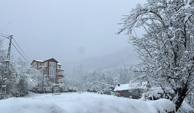 Doğu Karadeniz'de 371 köy ve mahalle yolu kardan kapandı