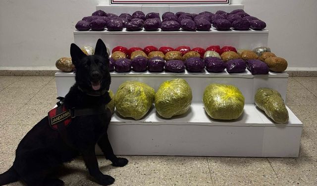 Van'da  31 kilo yasaklı madde ele geçirildi