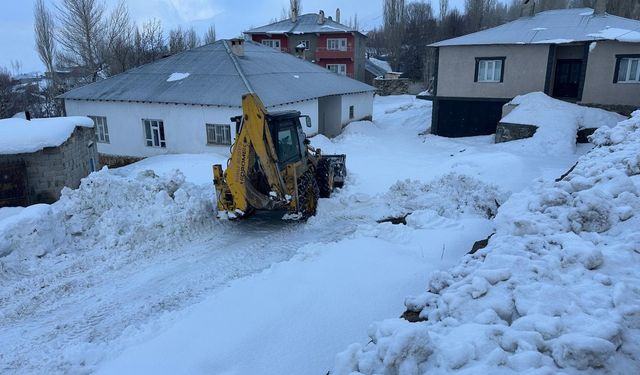 Van ve ilçelerinde kar yağışı etkili oldu