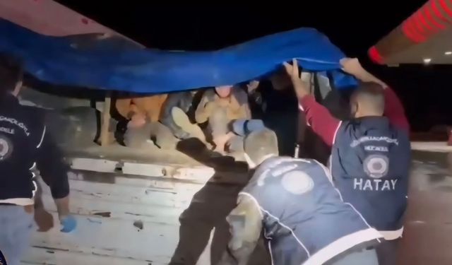 TIR'ın dorsesinde 12 kaçak göçmen yakalandı