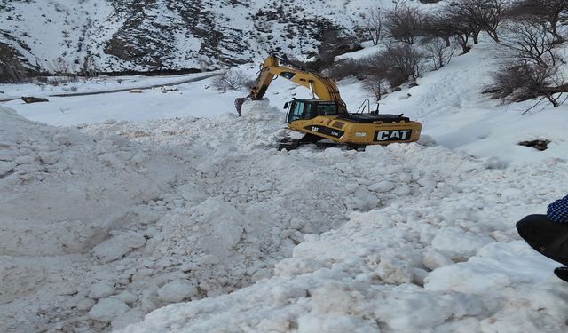 Van'da çığın kapattığı mezra yolunda zorlu mücadele
