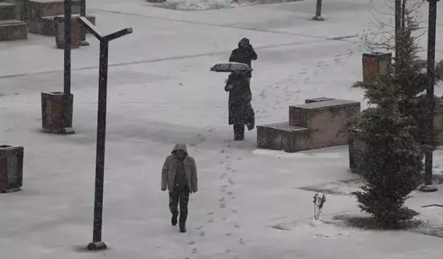 Van’da kar ve sis: 141 yerleşim yerine ulaşım yok