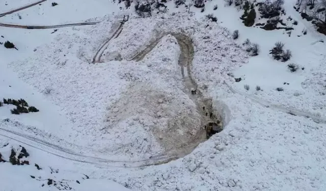 Çatak’ta çığın kapattığı mezra yolu 13 gün sonra açıldı
