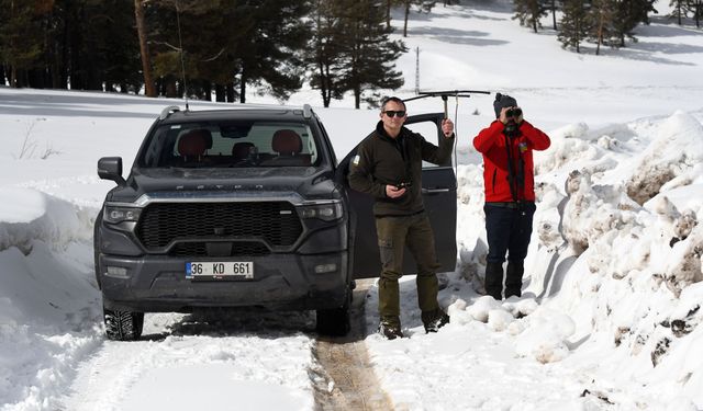 Uydu vericisi takılan kurtların kardaki izleri inceleniyor