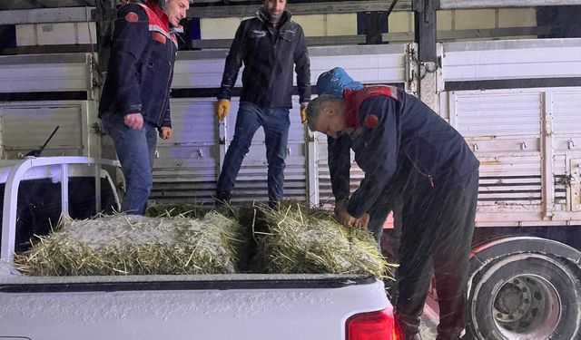 Erzurum’da yolda kalan tırlardaki hayvanlar beslendi