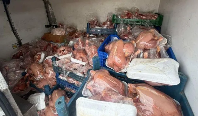 Van’da halk sağlığını tehdit eden 200 Tavuk ele geçirildi