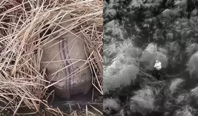 Yasa dışı avcılık yapan 13 kişiye idari işlem