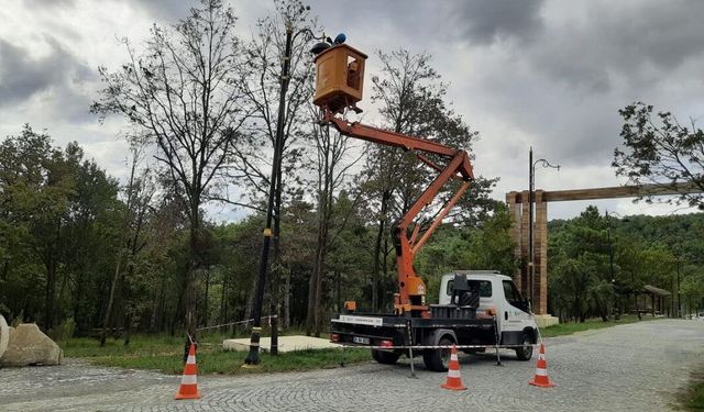 YÜKSEKOVA BELEDİYESİ DEKORATİF AYDINLATMA DİREKLERİNİN BAKIM VE ONARIM İŞİ