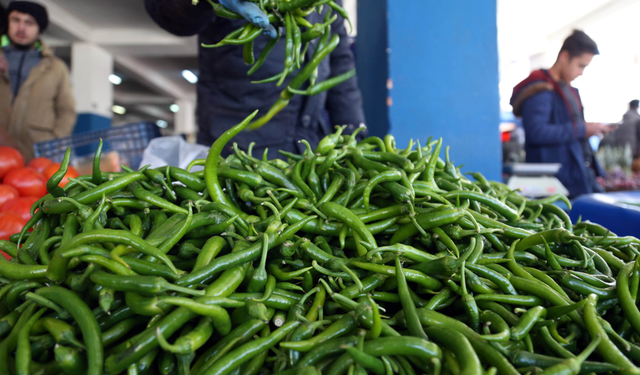Ocak ayında yaş meyve sebzede ihracat şampiyonu, 'biber'
