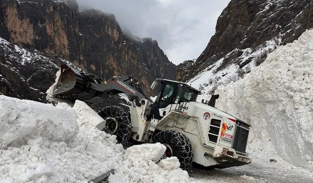 Hakkari-Çukurca Karayoluna düşen çığ temizlendi