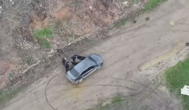 Çiftlik sahibi çalışanını elektrikli testereyle yaraladı