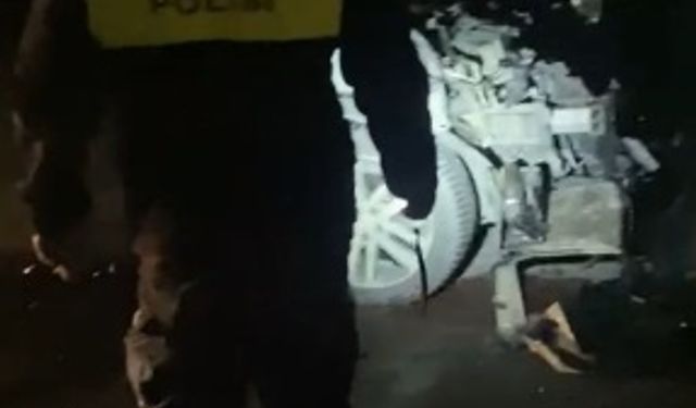 Kayseri’de minibüsün çarptığı 3 at öldü