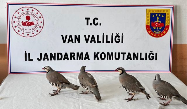 Kınalı keklik avına 85 bin TL ceza