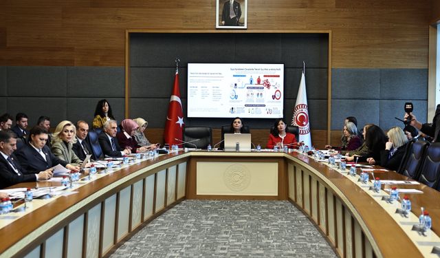 TBMM'de çocuk suçları araştırma komisyonu toplandı