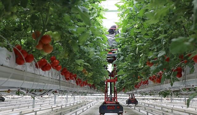 214 projeye 1,7 milyar lira hibe verilecek