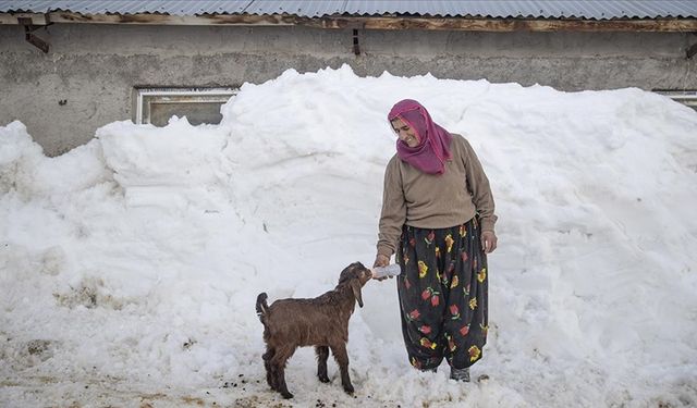 Ovacık’ta 2,5 metre kara rağmen üretim sürüyor