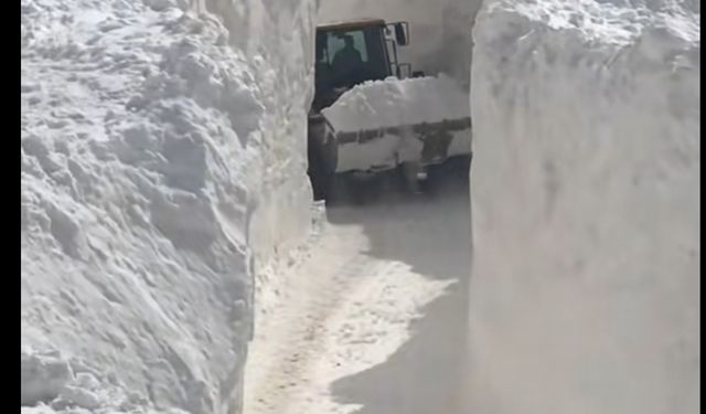 Çığ düşen mahalle yolunda karla mücadele sürüyor