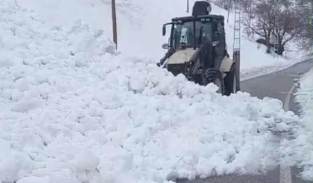Van'da çığ düştü; kardan temizlenen yol yeniden kapandı