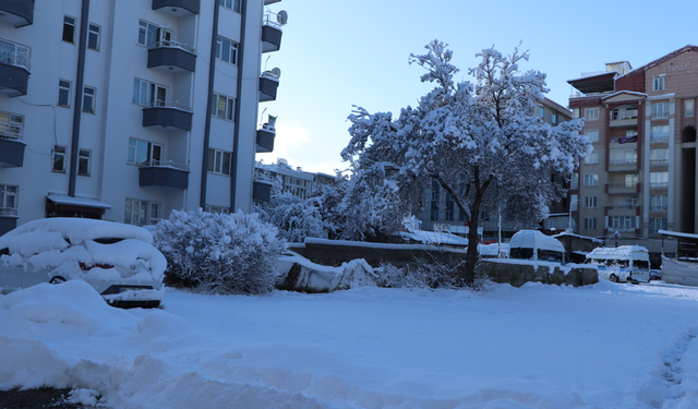 Van'da kardan 390 yerleşim yerinin yolu kapandı